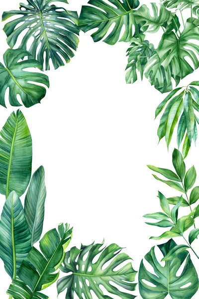 Frame Palm Leaves Flowers Isolated White Background Watercolor Tropical Design — 图库照片