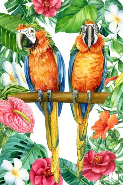 Poster with tropical leaves and tow parrot. Watercolor illustration, floral jungle design. greeting card. High quality illustration