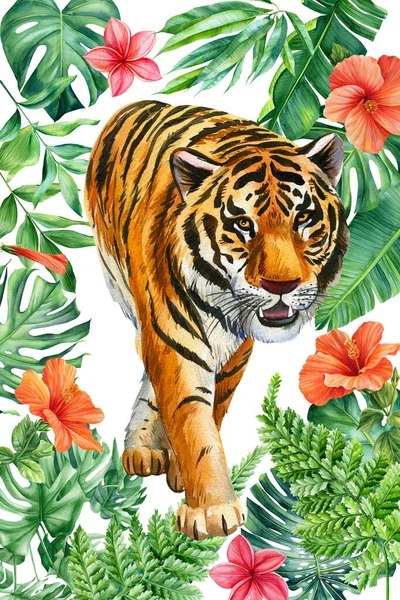 Αφίσα Τροπικά Φύλλα Και Τίγρη Εικονογράφηση Ακουαρέλας Σχέδιο Ζούγκλας Λουλουδιών — Φωτογραφία Αρχείου