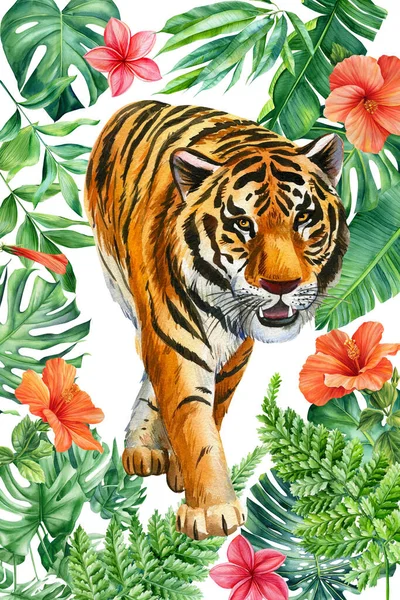 Poster with tropical leaves and tiger. Watercolor illustration, floral jungle design. High quality illustration