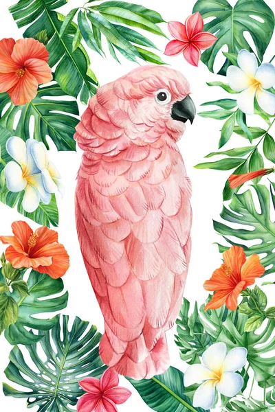 Poster Tropical Leaves Pink Parrot Watercolor Illustration Floral Jungle Design — 图库照片