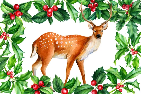 Deer Holly Watercolor Illustration Christmas Design High Quality Illustration — Zdjęcie stockowe