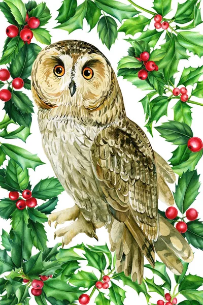 Owl Bird Holly Leaves Berry Watercolor Illustration Festive Poster Postcard —  Fotos de Stock