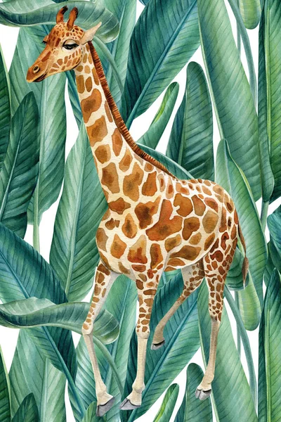 Giraffe Palm Trees Green Leaves Watercolor Exotic Summer Illustration Tropical — 스톡 사진