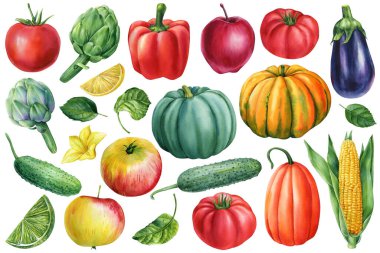 Set of vegetables, on isolated white background, watercolor illustration, autumn harvest. High quality illustration