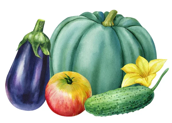 Set Vegetables Isolated White Background Watercolor Illustration Autumn Harvest High — Stockfoto