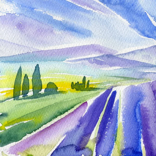 Lavender Field Mountains Sky Watercolor Illustration High Quality Illustration — 스톡 사진