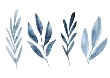 Dark blue tropical leaves on isolated white background, abstract watercolor, clip art. High quality illustration