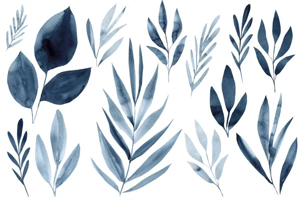 Dark blue tropical leaf on isolated white background, Set leaves, abstract watercolor clip art. High quality illustration