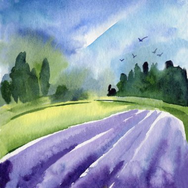 Lavender flowers field. Summer watercolor illustration. Wallpaper pictures. High quality illustration