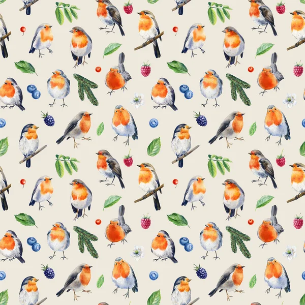 Seamless Pattern Robin Birds Branches Leaves Berries Hand Drawn Watercolor — Foto de Stock