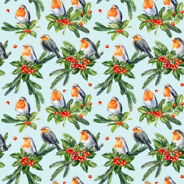 Seamless Pattern Robin Birds Leaves Holly Berries Fir Branches Hand — ストック写真