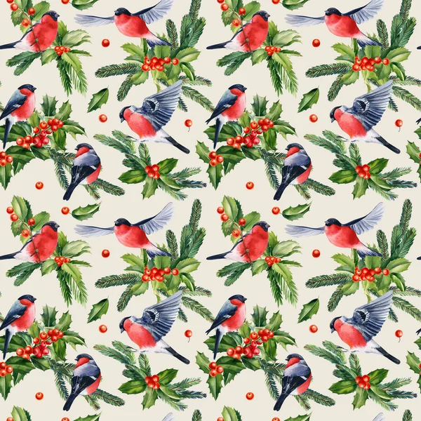 Seamless Pattern Bullfinch Birds Leaves Holly Berries Fir Branches Hand — Foto Stock
