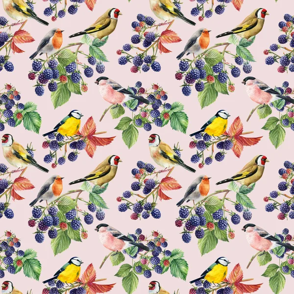 Seamless Pattern Branches Leaves Berries Birds Blackberries Hand Drawn Watercolor — ストック写真