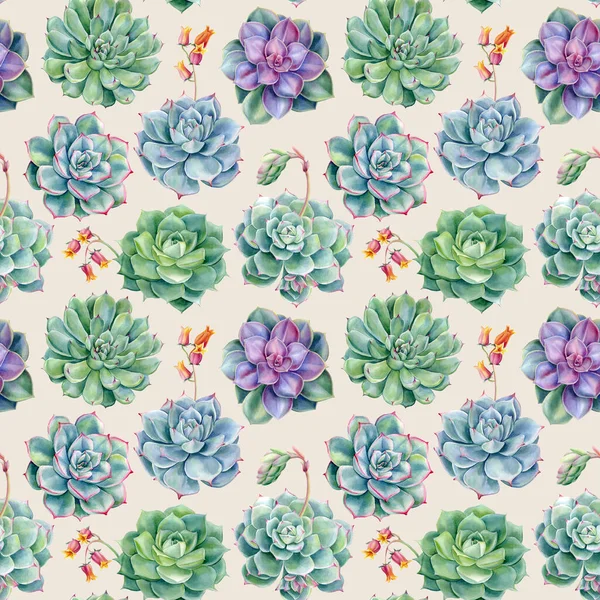 Succulents Seamless Pattern Watercolor Illustration Digital Paper Floral Design High — Stockfoto