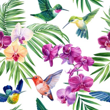 Hummingbird and orchid flower, seamless pattern tropical leaves, watercolor illustration, jungle design. High quality illustration