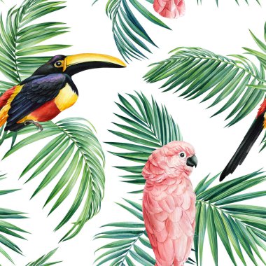 Tropical bird, toucan and parrot, green palm leaves watercolor illustration, botanical painting, seamless pattern design. High quality illustration