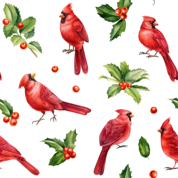 Червоні Кардинальні Птахи Листя Ягід Папороті Ялинові Гілки Намальовані Вручну — стокове фото