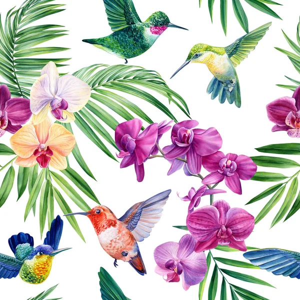 Hummingbird Orchid Flower Seamless Pattern Tropical Leaves Watercolor Illustration Jungle — Stockfoto