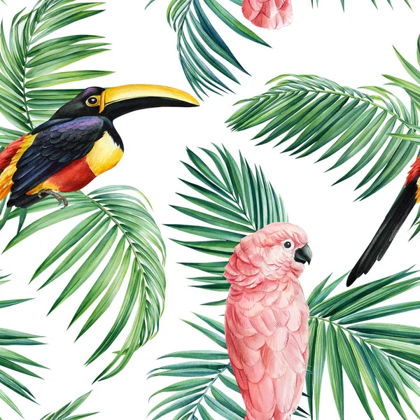 Tropical Bird Toucan Parrot Green Palm Leaves Watercolor Illustration Botanical — Foto de Stock