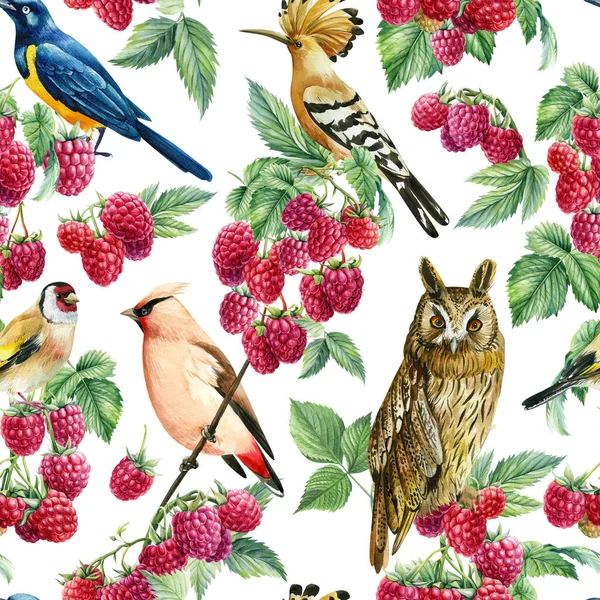 Seamless Pattern Branches Leaves Berries Birds Blackberries Hand Drawn Watercolor — Stockfoto