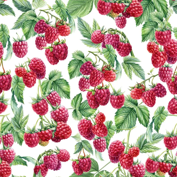 Seamless Pattern Branches Raspberries Watercolor Illustration High Quality Illustration — 图库照片