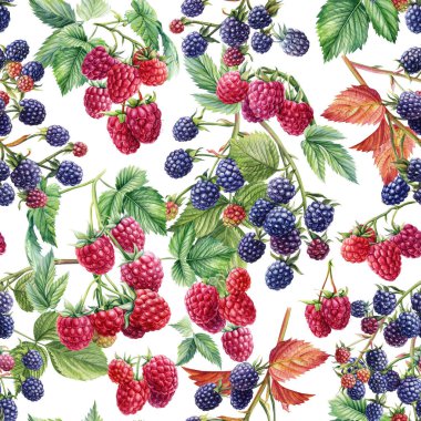 Seamless pattern with branches leaves and berries of raspberries and blackberries, hand-drawn in watercolor. High quality illustration