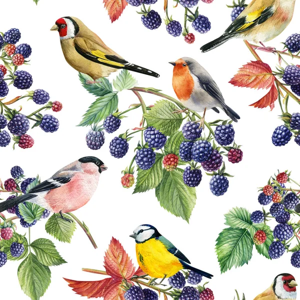 Seamless Pattern Branches Leaves Berries Birds Blackberries Hand Drawn Watercolor —  Fotos de Stock