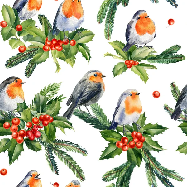 Seamless Pattern Robin Birds Leaves Holly Berries Fir Branches Hand — Stock Fotó
