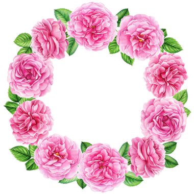 wreath with Roses and leaves, pink flower isolated white background, watercolor illustration painting. floral design. High quality illustration
