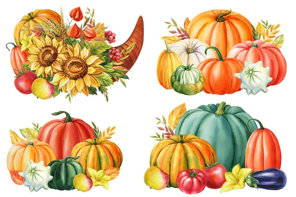 Autumn Watercolor Pumpkins Isolated White Background Thanksgiving Harvest High Quality — Foto de Stock