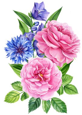 Roses, bluebells and cornflowers. Bouquet Flower isolated white background, watercolor illustration, botanical painting. High quality illustration