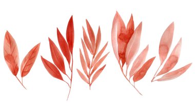 Herbal branch set. Abstract leaves, art watercolor. Decoration flora elements for design. High quality illustration