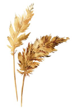 Trendy dried flora. Watercolor drawing, autumn Herbs, branches, dry leaves. Hand painted boho. High quality illustration