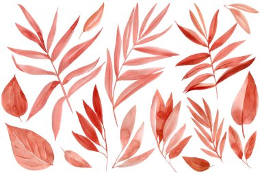 Herbal branch set. Abstract leaves, art watercolor. Decoration flora elements for design. High quality illustration