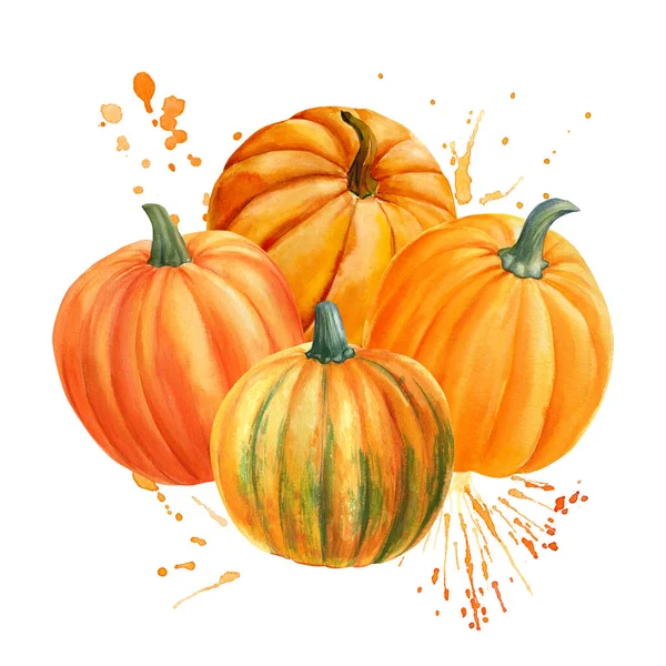 Orange Pumpa Isolerad Vit Bakgrund Akvarell Illustration Handritning Högkvalitativ Illustration — Stockfoto