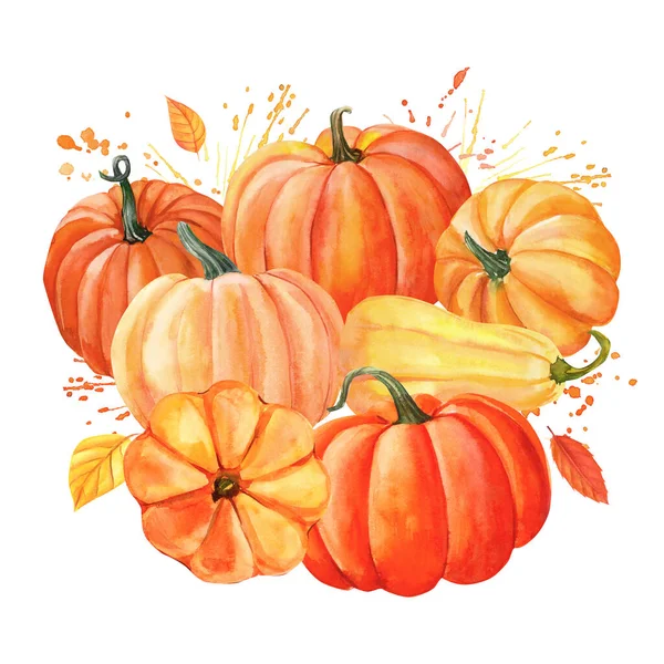 美丽的南瓜和秋叶构图 水彩画插图 秋天的收获 高质量的例证 — 图库照片