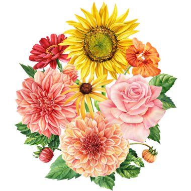 Yaz çiçekleri. Ayçiçeği, gül, yıldız çiçeği ve yapraklar. Botanik illüstrasyon. Flora Suluboya. Yüksek kaliteli illüstrasyon