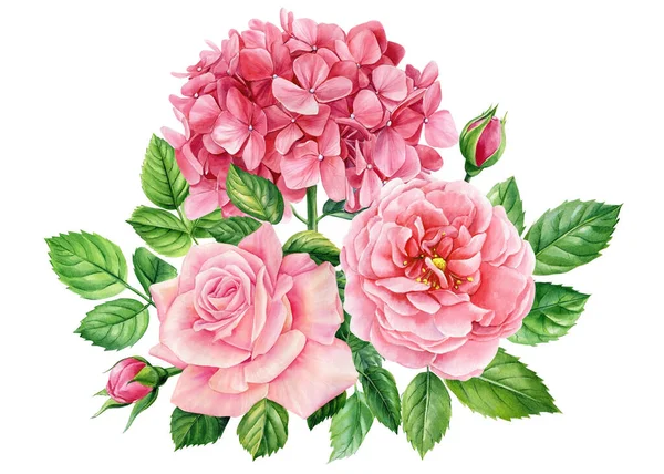Bouquet Rosa Ortensia Fiore Isolato Sfondo Bianco Bellissimi Fiori Acquerello — Foto Stock