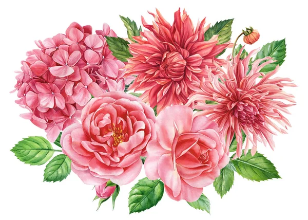 Buquê Rosa Lilás Flores Dahlia Fundo Branco Isolado Pintura Botânica — Fotografia de Stock