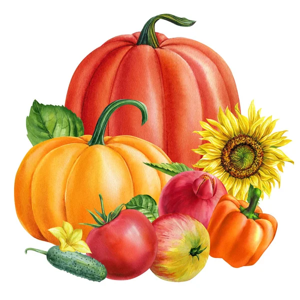 Färgglada Grönsaker Pumpor Peppar Och Tomat Akvarell Botanisk Illustration Sömlöst — Stockfoto