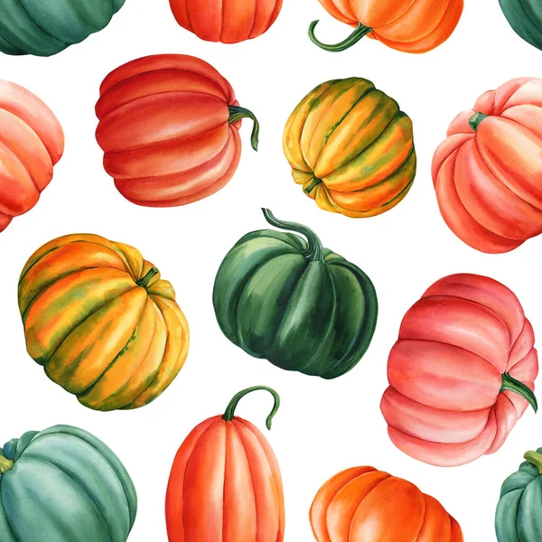 Seamless pattern of vegetables in watercolor. Multicolored pumpkin . High quality illustration