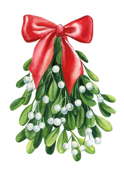Watercolor Mistletoe Isolated White Background Element Design High Quality Illustration — Stock Photo, Image