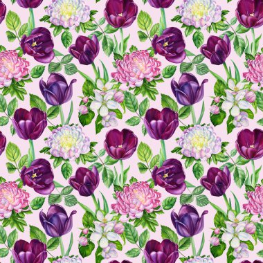 Elma ağacı çiçekleri, laleler ve kasımpatı, suluboya illüstrasyon, botanik resim. Kusursuz çiçek deseni. Yüksek kaliteli illüstrasyon