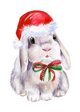 Kırmızı şapkalı bir tavşan suluboya çiziyor. Tatil kartı. Yüksek kaliteli illüstrasyon