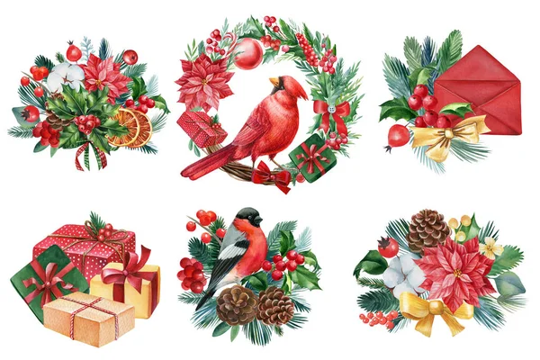 Bullfinch Red Cardinal Подарунок Конверт Ізольовані Білому Тлі Набір Акварельних — стокове фото