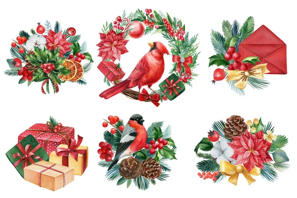 Bullfinch, Red cardinal, gift and envelope isolated on white background. Set of watercolor winter element. New year holiday. High quality illustration