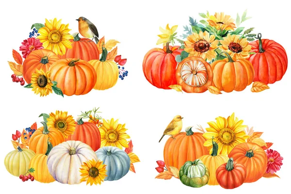 Kürbisse Vögel Und Sonnenblumen Auf Weißem Hintergrund Herbstliche Aquarellkomposition Grußkarte — Stockfoto