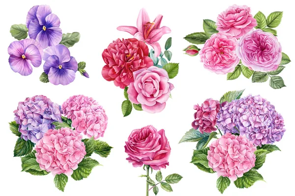 장미와 드라게아 백합으로 수채화 분홍색 놓는다 질높은 — 스톡 사진
