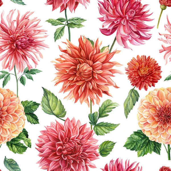 Dahlia Floralen Hintergrund Handzeichnung Bunte Blumen Nahtlose Muster Aquarell Botanische — Stockfoto